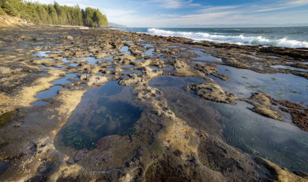Vancouver Island Elopement
